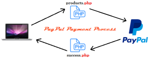 paypal-payment-process-php-codexworld