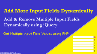 add-remove-multiple-input-fields-dynamically-using-jquery-get-values-php-codexworld