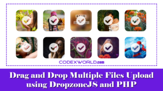 drag-drop-multiple-file-images-upload-dropzone-php-codexworld