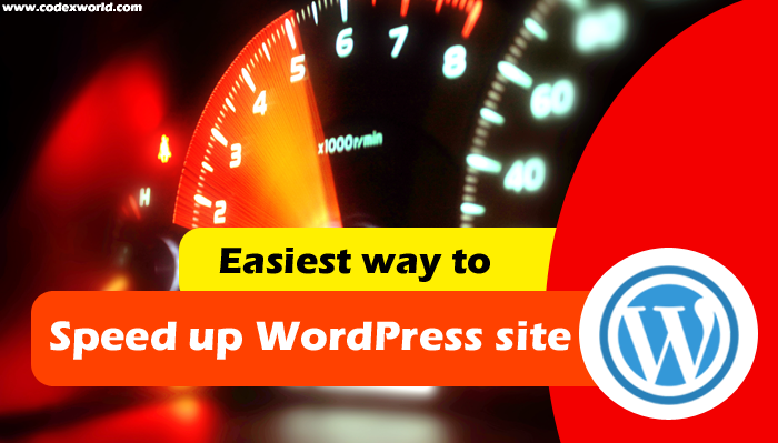 speed-up-wordpress-site-instantly-tutorial-by-codexworld