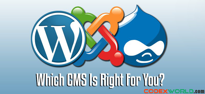 drupal-joomla-wordpress-best-cms-for-website-by-codexworld