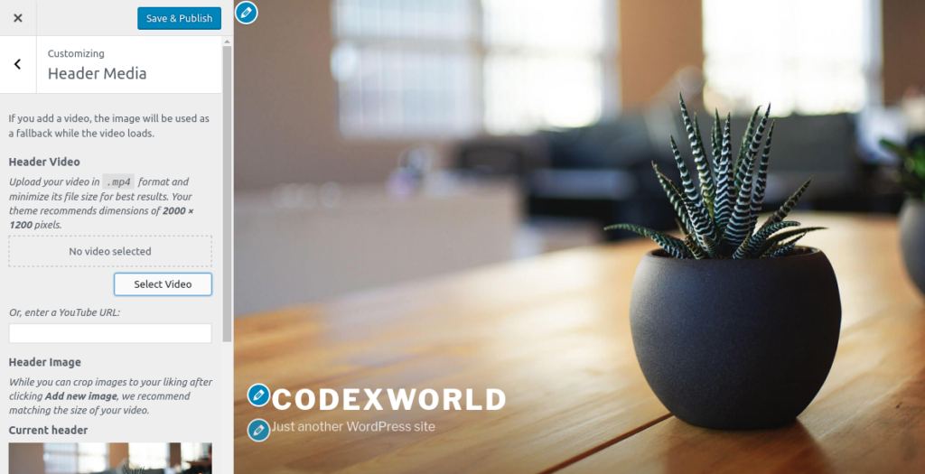 wordpress-new-version-video-header-codexworld