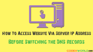 access-website-without-domain-name-assigned-via-ip-address-codexworld