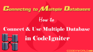 connect-use-multiple-database -codeigniter-codexworld