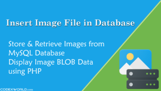 store-retrieve-image-from-database-with-blob-data-using-php-mysql-codexworld