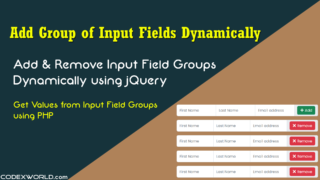 add-remove-group-of-input-fields-dynamically-using-jquery-codexworld
