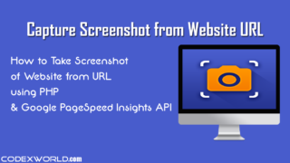 capture-website-screenshot-from-url-using-google-page-speed-insights-api-php-codexworld