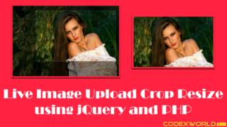 live-image-upload-crop-resize-using-jquery-php-codexworld