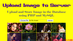 upload-store-image-file-in-database-php-mysql-codexworld