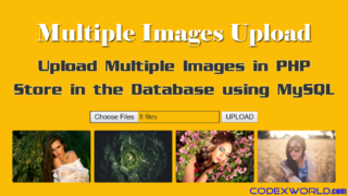 upload-multiple-images-store-in-database-php-mysql-codexworld