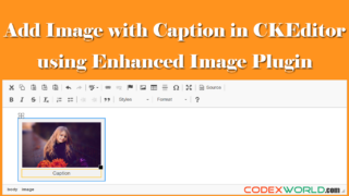 ckeditor-wysiwyg-html-editor-insert-image-with-caption-codexworld