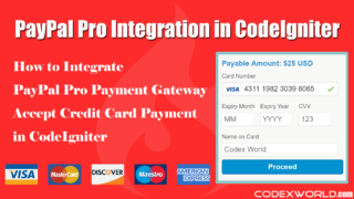 paypal-pro-payment-gateway-integration-codeigniter-library-codexworld